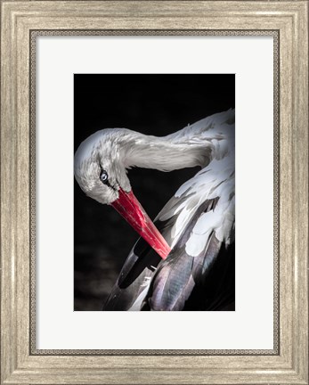 Framed Stork II Print