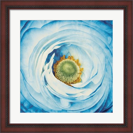 Framed White Peony with Blue Print