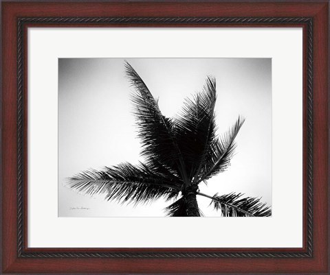 Framed Palm Tree Looking Up IV Print