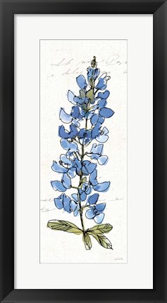 Framed Texas Bluebonnet III Print