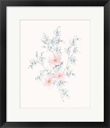 Framed Flowers on White II Contemporary Print
