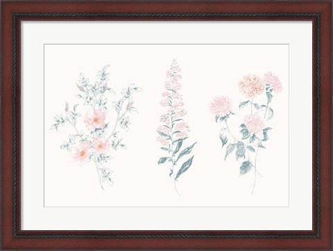Framed Flowers on White IX Contemporary Print