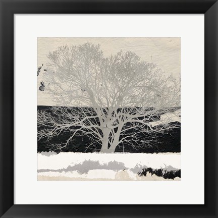 Framed Silver Tree (detail) Print