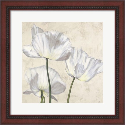 Framed Poppies in White II Print