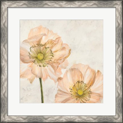 Framed Poppies in Pink I Print