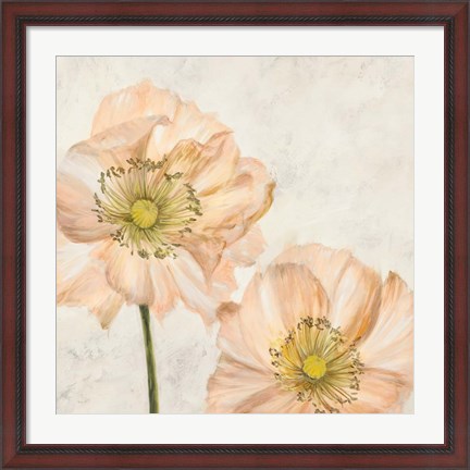 Framed Poppies in Pink I Print