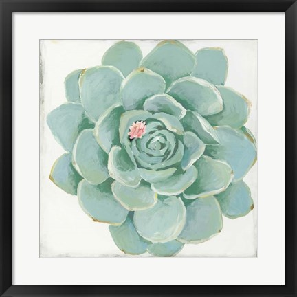 Framed Pastel Succulent I Print