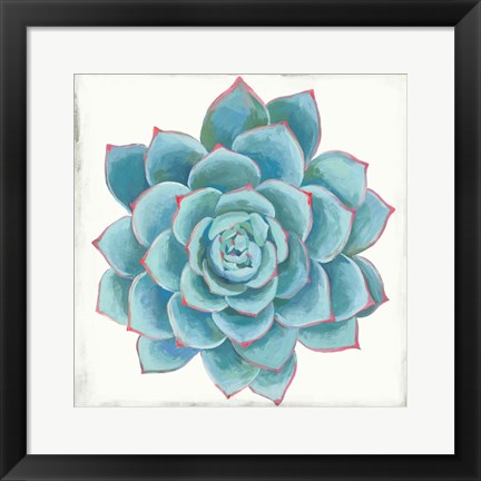 Framed Pastel Succulent II Print