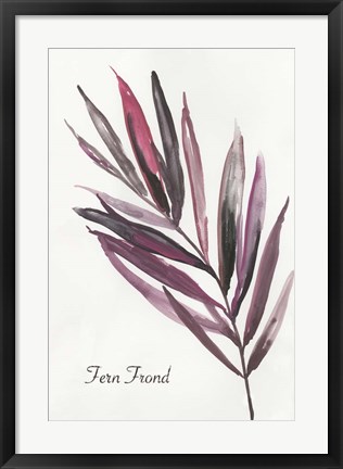 Framed Fern Frond Print