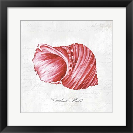 Framed Red Seashell Print