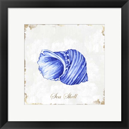 Framed Blue Seashell Print