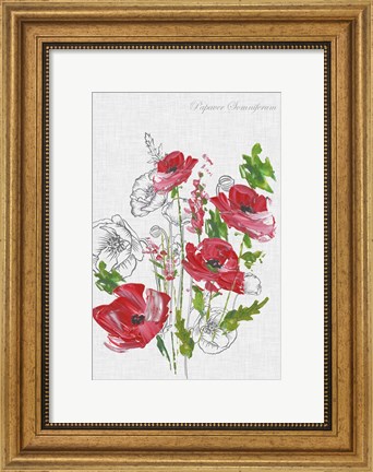Framed Botanical Poppies Print