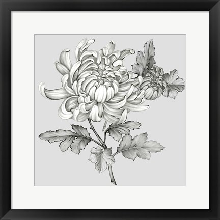 Framed Grey Botanical II Print