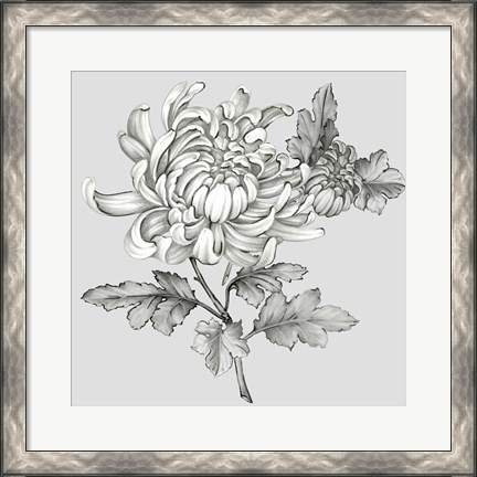 Framed Grey Botanical II Print