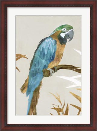 Framed Blue Parrot I Print