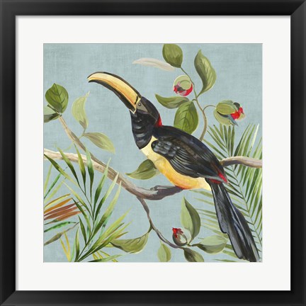 Framed Paradise Toucan II Print