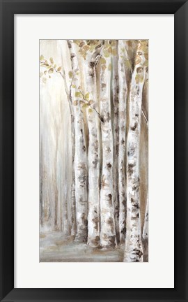 Framed Sunset Birch Forest II Print