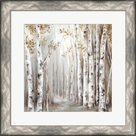 Framed Sunset Birch Forest III Print