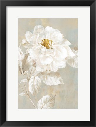 Framed White Rose I Print