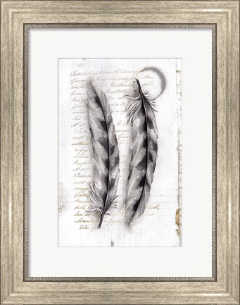 Framed Vintage Feathers I Print