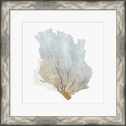 Framed Delicate Coral I Print