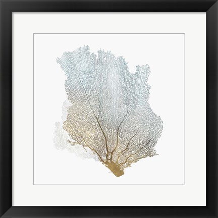 Framed Delicate Coral I Print