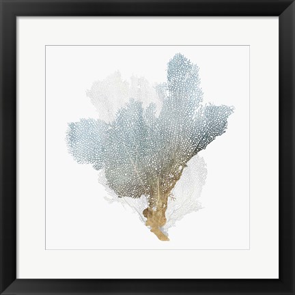 Framed Delicate Coral III Print