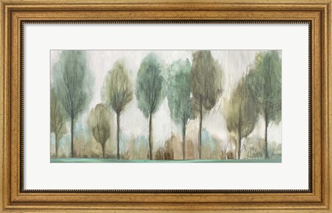 Framed Tall Trees Print