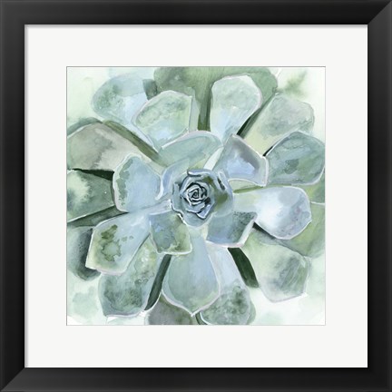 Framed Verdant Succulent III Print