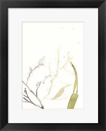 Framed Under Sea Forest II Print