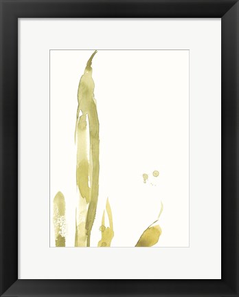 Framed Under Sea Forest III Print