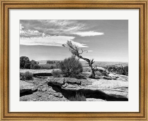 Framed Canyon Lands IV Print