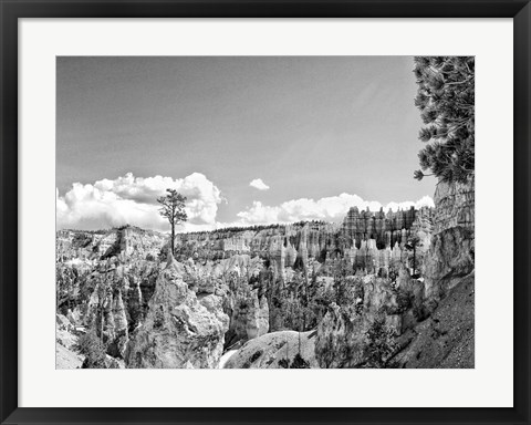 Framed Canyon Lands VI Print