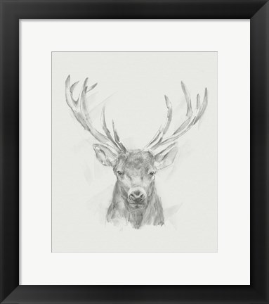 Framed Contemporary Elk Sketch II Print