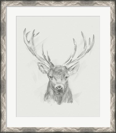 Framed Contemporary Elk Sketch II Print