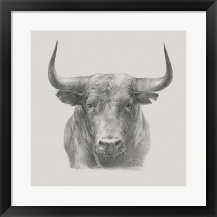 Framed Black Bull Print