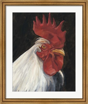 Framed Rooster Portrait I Print