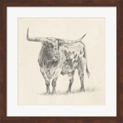 Framed Longhorn Steer Sketch II Print