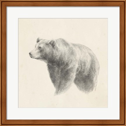 Framed Western Bear Study Print