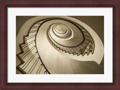 Framed Parrot Staircase Print