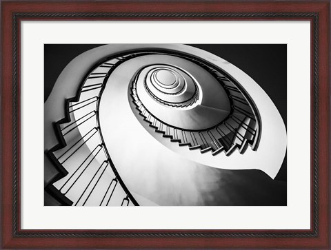 Framed Parrot Staircase  Black/White Print