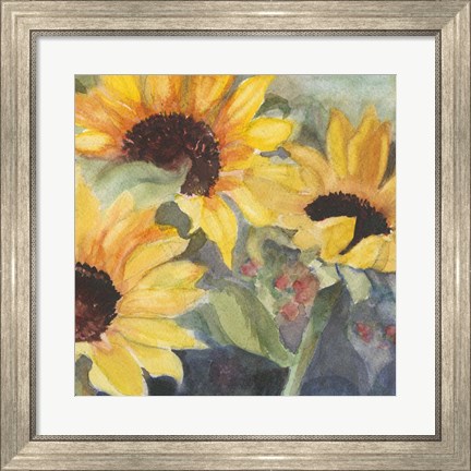 Framed Sunflowers in Watercolor II Print