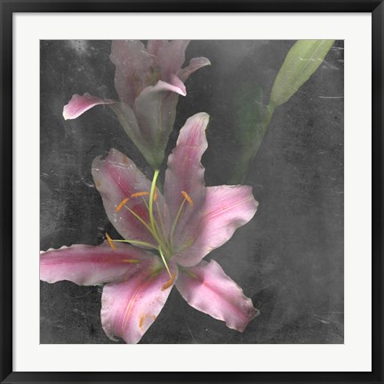 Framed Fleur de Lys I Print