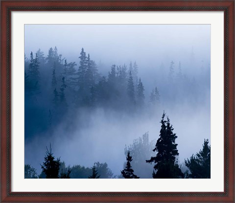 Framed Misty Mountains XV Print