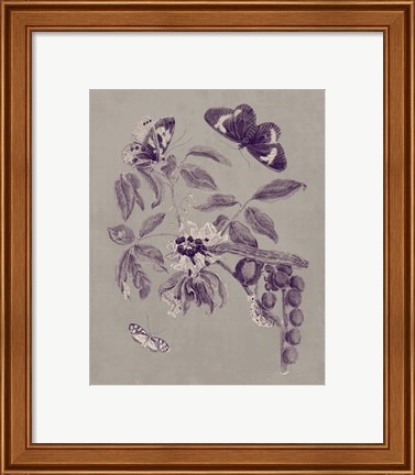 Framed Nature Study in Plum &amp; Taupe II Print