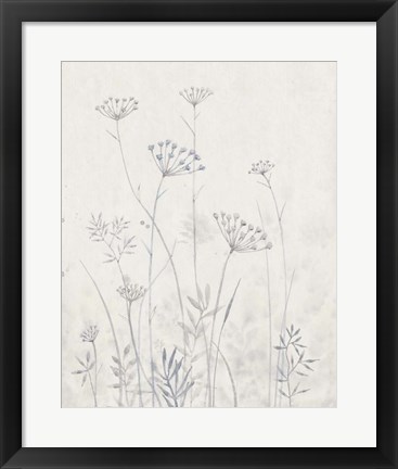 Framed Neutral Queen Anne&#39;s Lace I Print