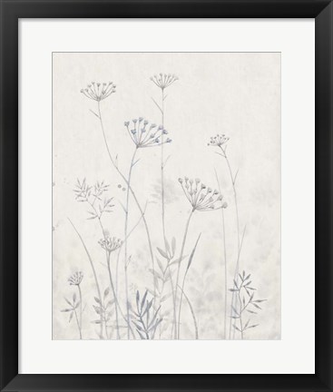 Framed Neutral Queen Anne&#39;s Lace I Print
