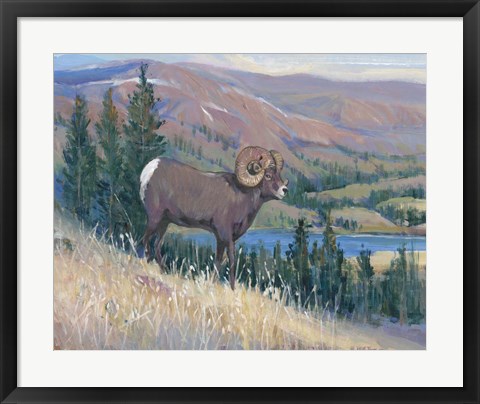 Framed Animals of the West III Print