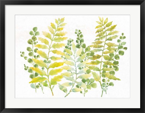 Framed Mixed Greenery I Print