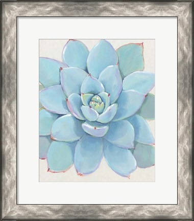 Framed Pastel Succulent I Print